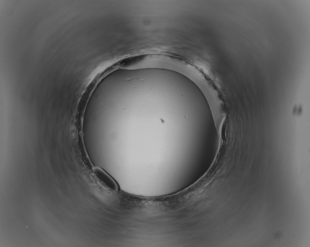 X0000090611308200707311214