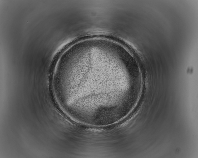 X0000090611309200707311214