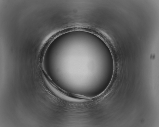 X0000090611310200707311214