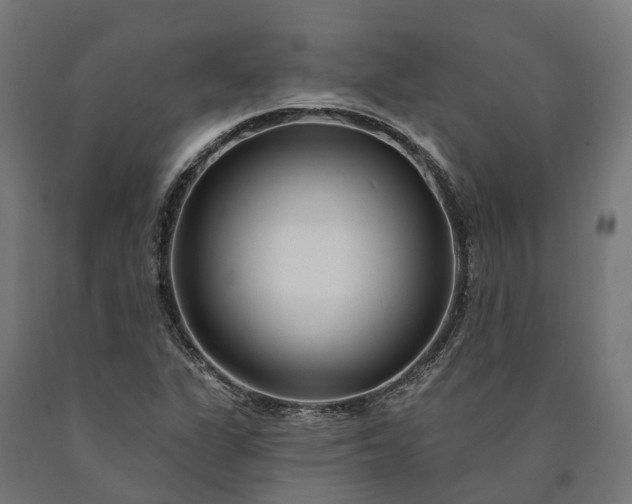 X0000090611311200707311214