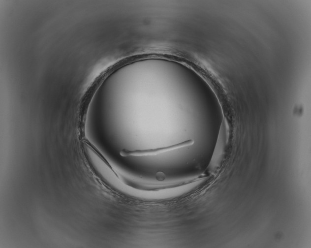 X0000090611312200707311214