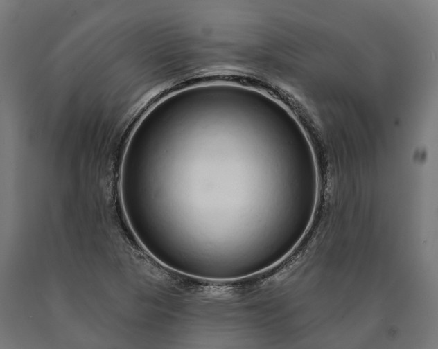 X0000090611313200707311214