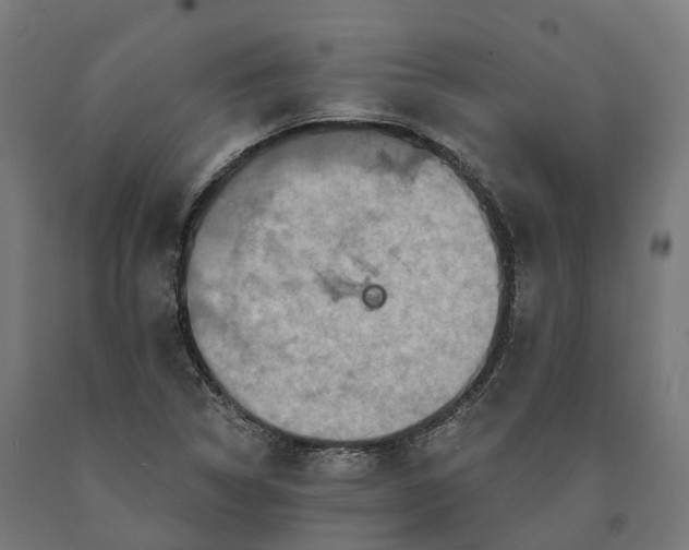 X0000090611314200707311214