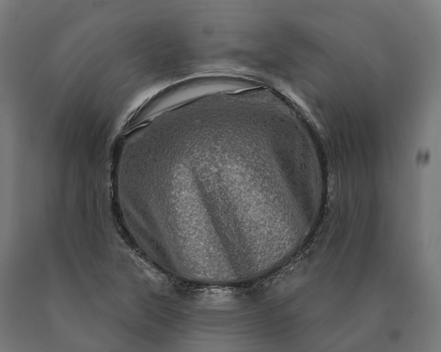 X0000090611315200707311214