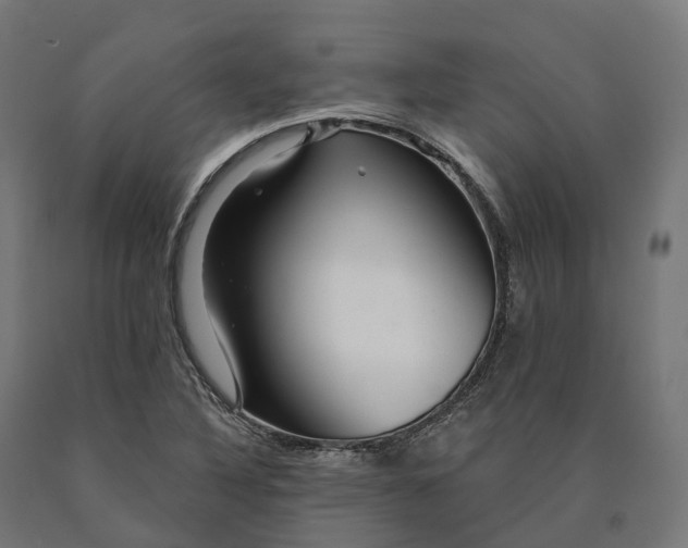 X0000090611316200707311214