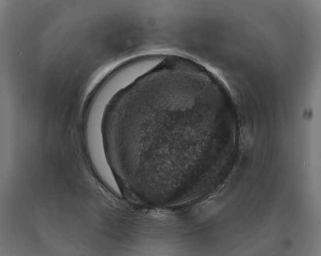 X0000090611319200707311214