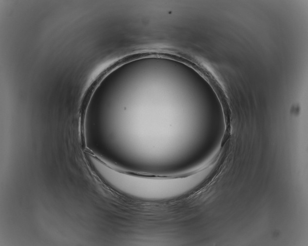 X0000090611320200707311214