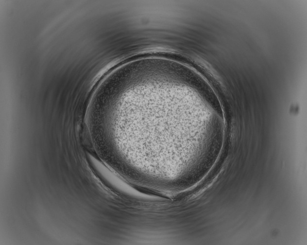 X0000090611321200707311214