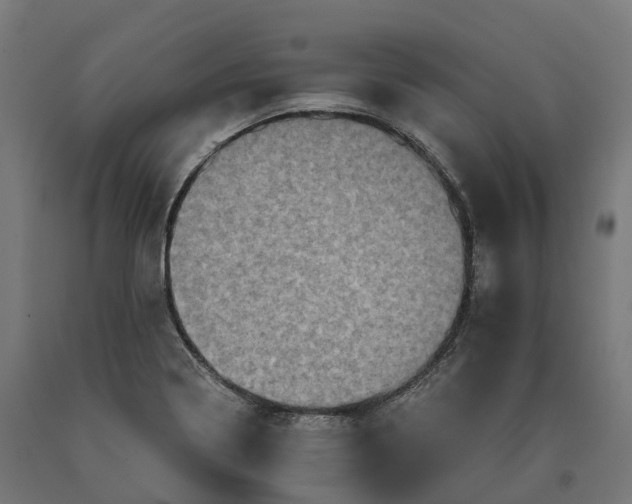 X0000090611322200707311214