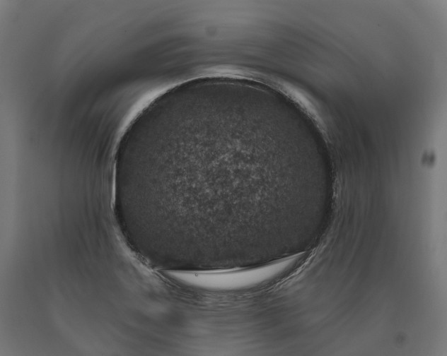 X0000090611323200707311214