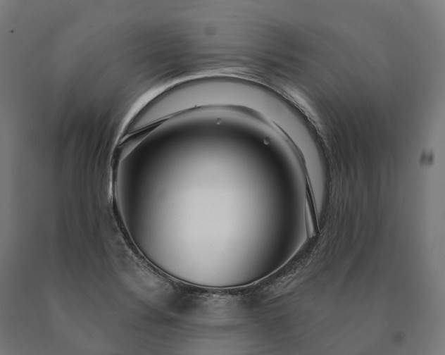 X0000090611324200707311214