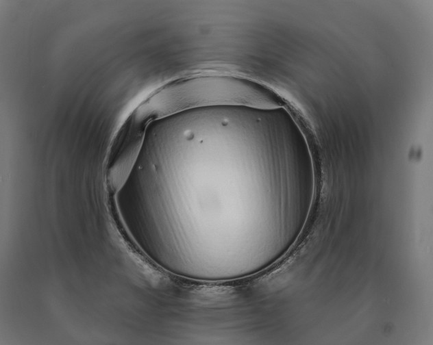 X0000090611325200707311214