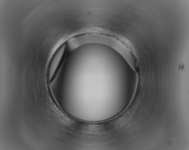 X0000090611326200707311214