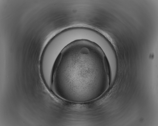 X0000090611327200707311214