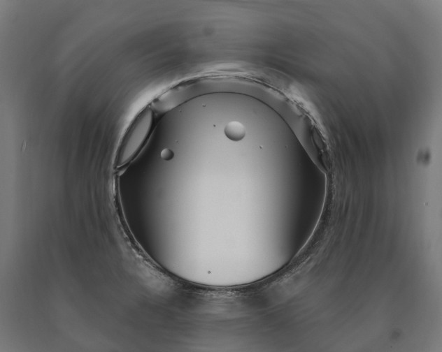 X0000090611328200707311214