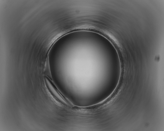 X0000090611329200707311214