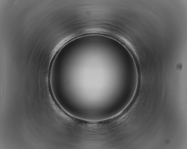 X0000090611330200707311214