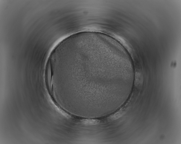 X0000090611331200707311214