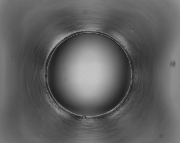 X0000090611332200707311214