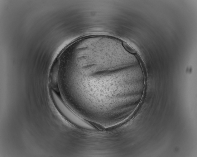 X0000090611333200707311214