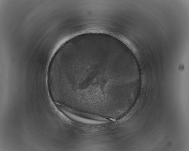 X0000090611334200707311214