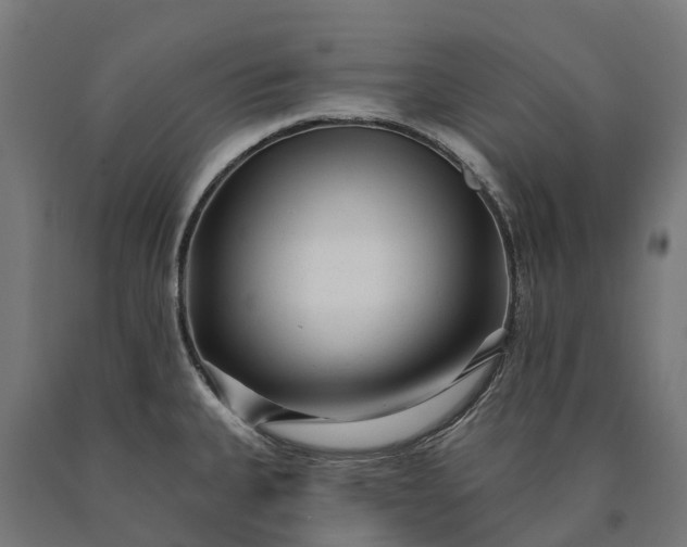 X0000090611335200707311214