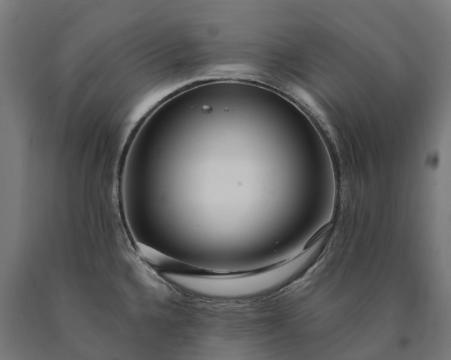 X0000090611336200707311214