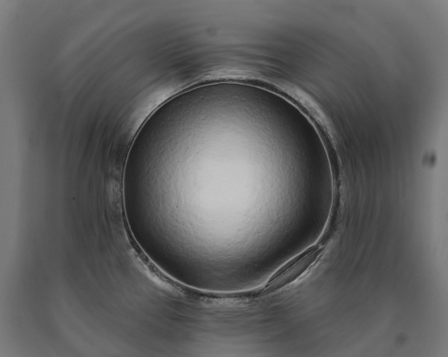 X0000090611337200707311214