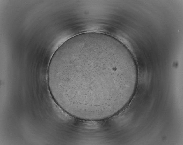 X0000090611338200707311214