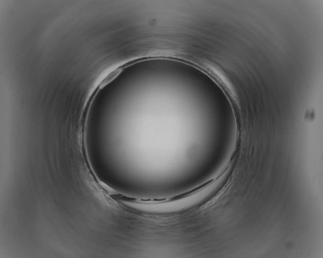 X0000090611340200707311214