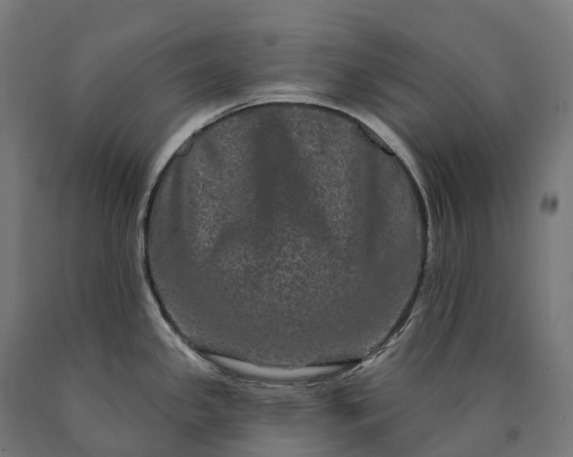 X0000090611341200707311214