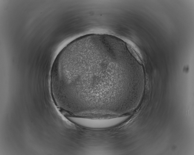 X0000090611343200707311214