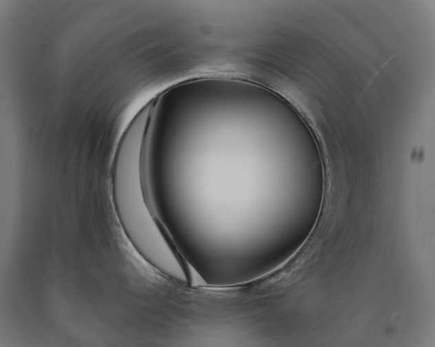 X0000090611344200707311214