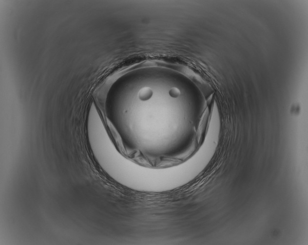 X0000090611345200707311214