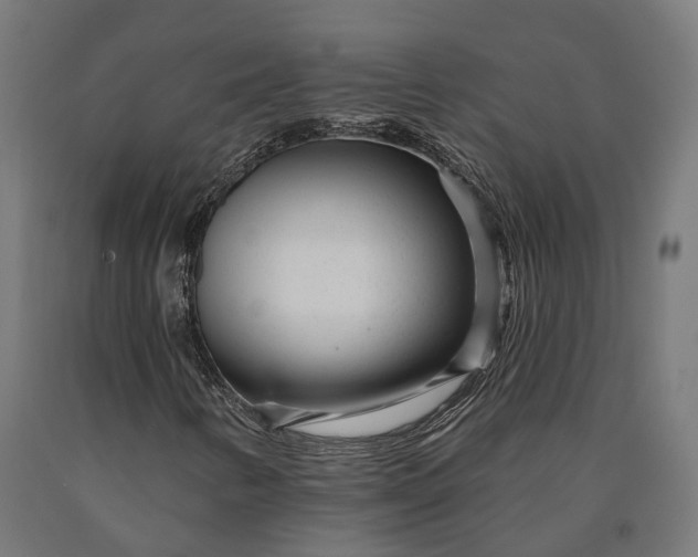 X0000090611346200707311214