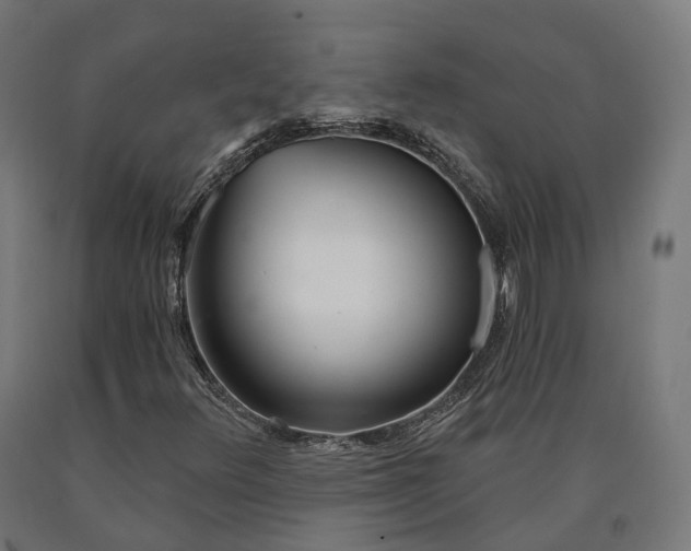 X0000090611348200707311214