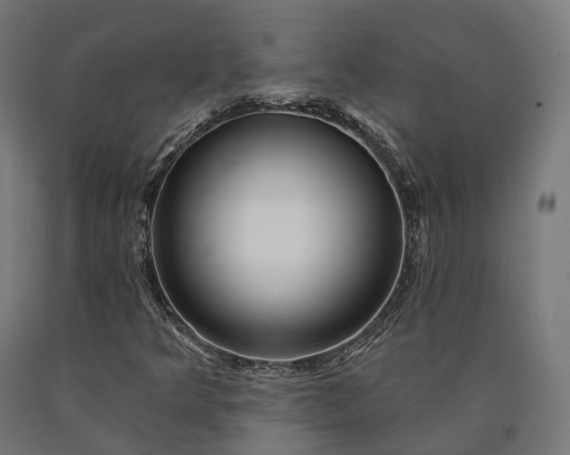 X0000090611349200707311214