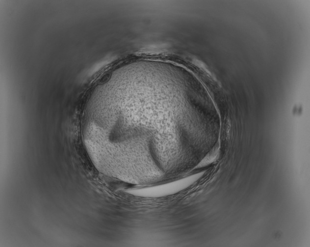 X0000090611350200707311213