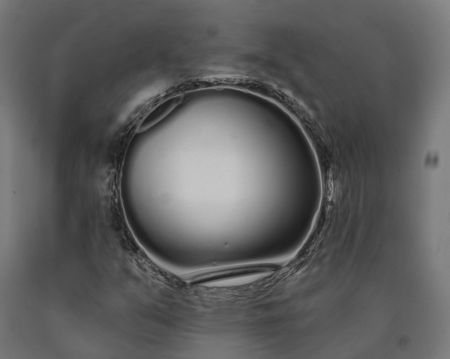 X0000090611351200707311213