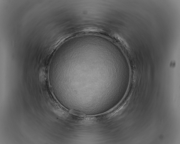 X0000090611353200707311213