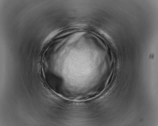 X0000090611354200707311213