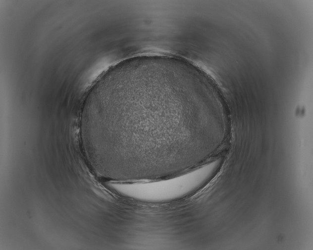 X0000090611355200707311213