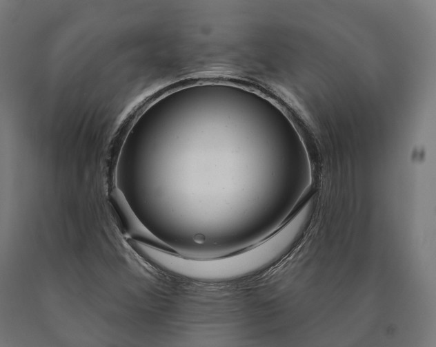 X0000090611356200707311213