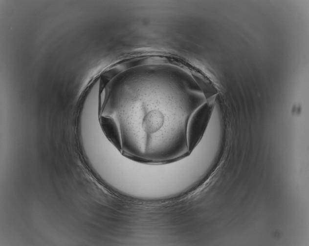 X0000090611357200707311213