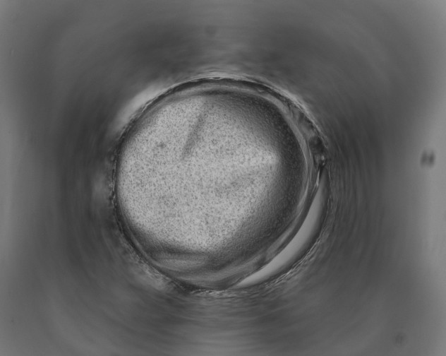 X0000090611359200707311213