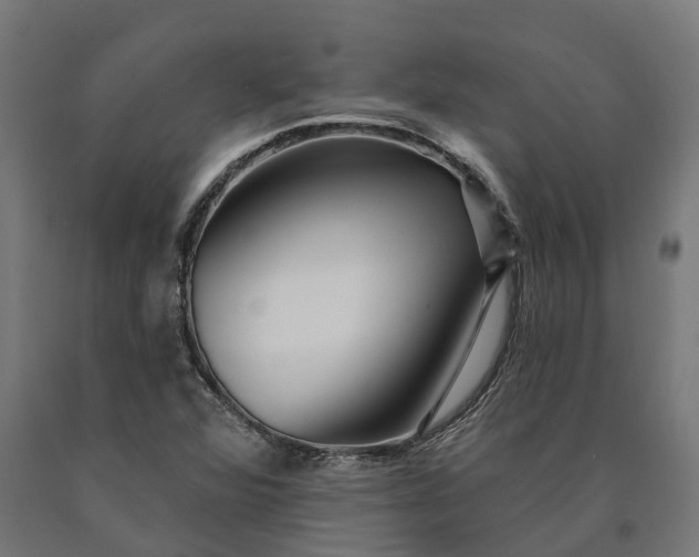 X0000090611360200707311213