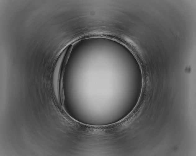 X0000090611361200707311213