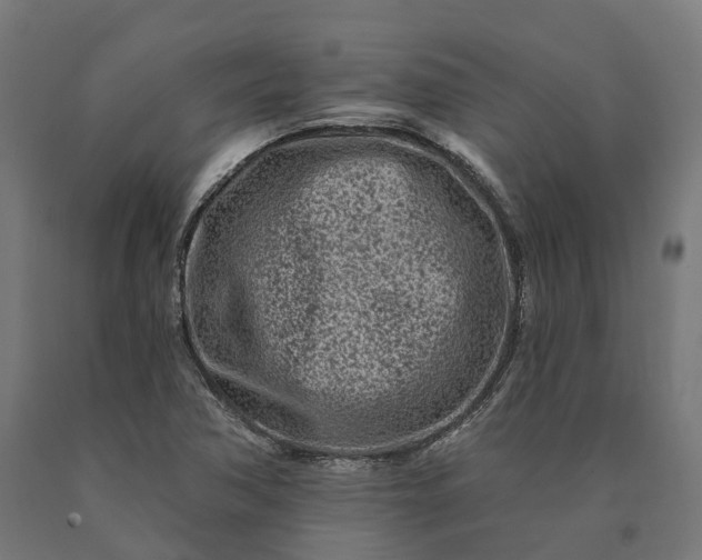 X0000090611362200707311213