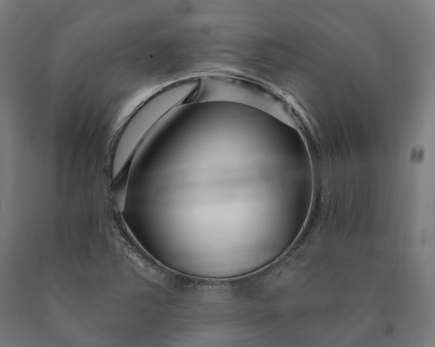 X0000090611363200707311213