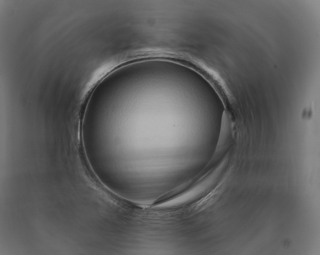 X0000090611365200707311213